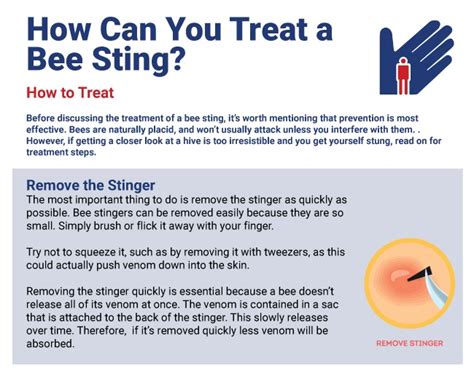 Bee Stinger Removal