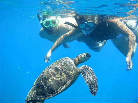 Sea Fun Shoreline Snorkel Kauai | Aloha Kauai Snorkeling | Kauai ...