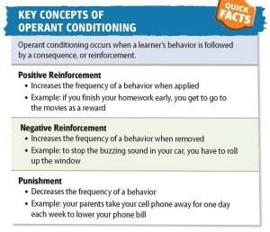 Operant Conditioning In Psychology: B.F. Skinner Theory