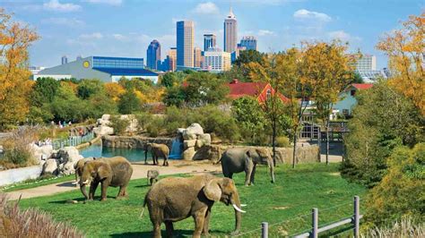 Indianapolis Zoo Located In White River State Park | Visit Indy ...