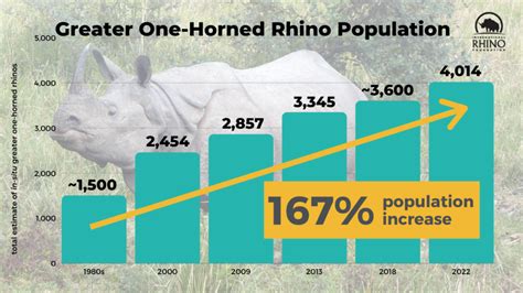 Javan Rhinoceros Population Graph