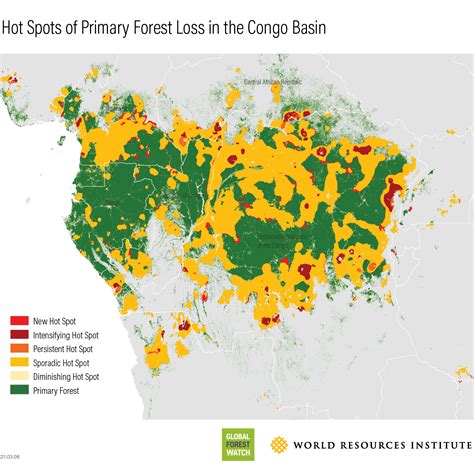 Primary Forest Loss in Congo Basin Escalates in 2020