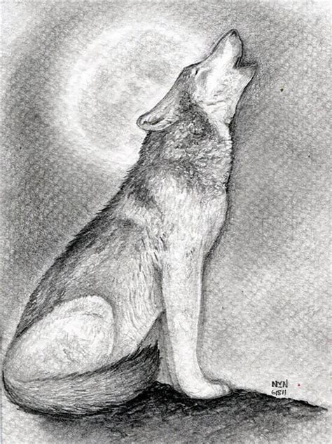 How To Draw A Wolf With Images Drawing Skills Art Handouts Drawings ...