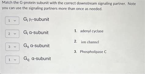 Solved Match the G-protein subunit with the correct | Chegg.com