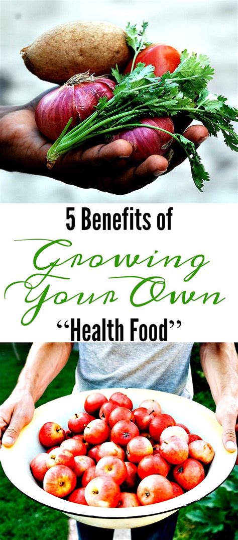 5 Benefits of Growing Your Own Health Food