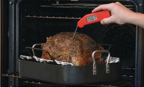 Where to put the Thermometer in a Turkey