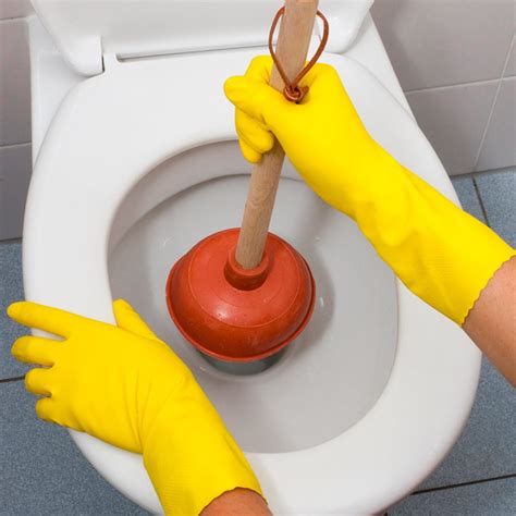 This Is How to Clean a Toilet Plunger | Family Handyman