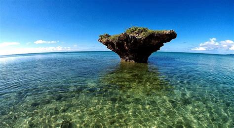 Ishigaki Island (Okinawa) - Japan’s Most Spectacular Views in Spring ...