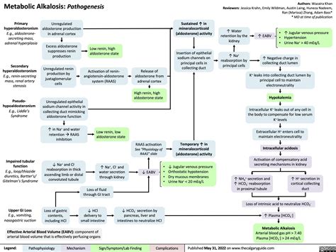 metabolic-alkalosis-pathogenesis | Calgary Guide