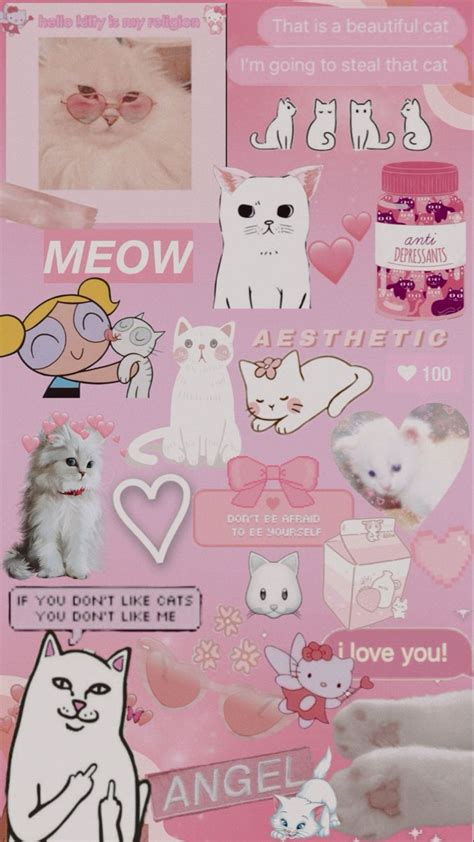 pink cat aesthetic wallpaper💕