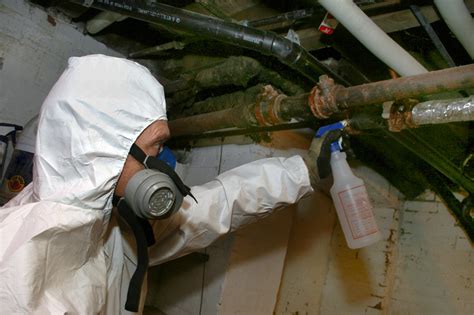 Asbestos Abatement & Removal Costs