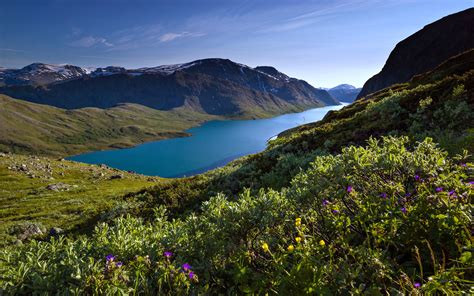 norway, Lakes, Landscapes, Forest, Mountains, Trees, Flowers, Grass ...