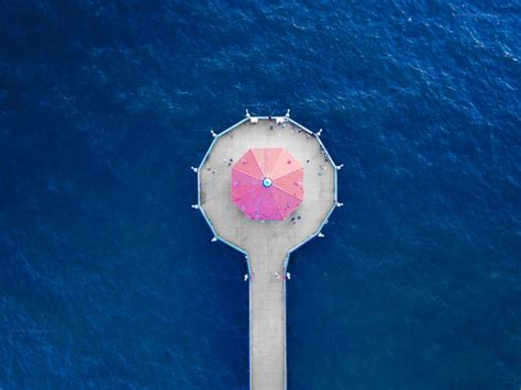 Manhattan Beach Pier Aquarium - Sky to Sea Dronography and Art