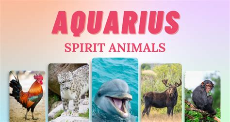 7 Aquarius Spirit Animals that Embody this Zodiac Sign | So Syncd