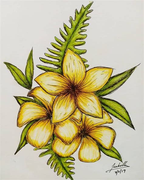 Yellow Flowers | Pencil Drawing