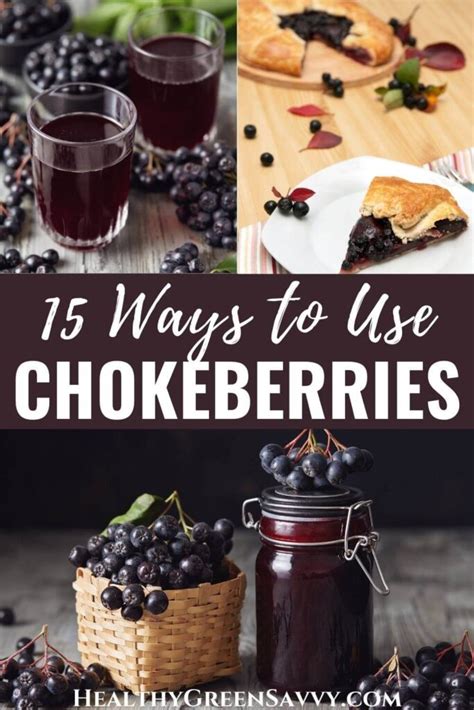 15 Best Aronia Berry Recipes {Tasty Chokeberry Recipes!}