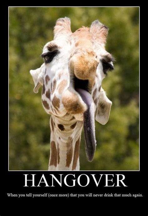 Hangover Memes - Funny Hang Over Pics