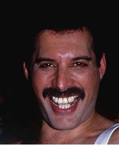 Pin by Ä on FREDDIE MERCURY & QUEEN | Queen freddie mercury, Freddie ...