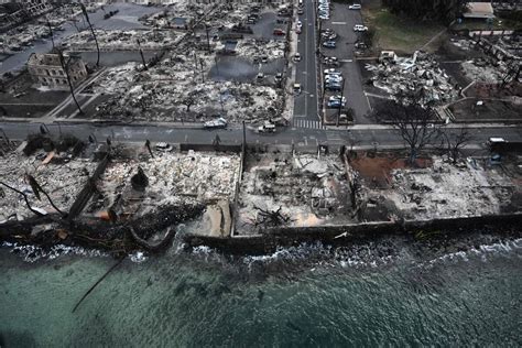 California resident Theresa Cook among Maui fire victims - Los Angeles ...