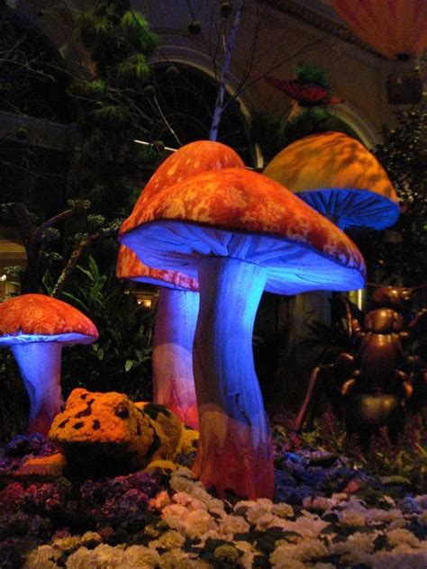 Glowing Mushrooms | Glowing mushrooms, Painting, Drawing & painting