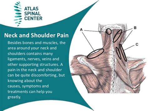 Neck And Shoulder Anatomy Diagram Stiff Neck Too Much Office Lets ...