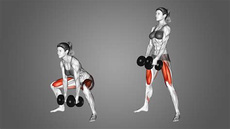 Dumbbell Sumo Deadlift: Benefits, Muscles Worked, and More - Inspire US