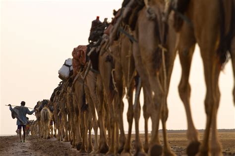 Photo Essay: Daring To Explore The Danakil Desert | AFKTravel