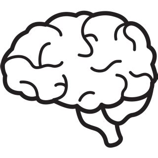 Red Brain PNG Transparent Background, Free Download #2540 - FreeIconsPNG