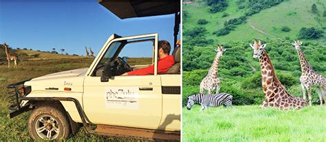 PHEZULU SAFARI PARK - Businesses in South Africa