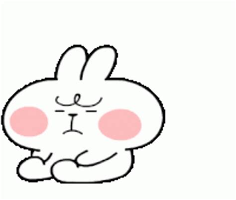 Rabbit Sticker - Rabbit - Discover & Share GIFs