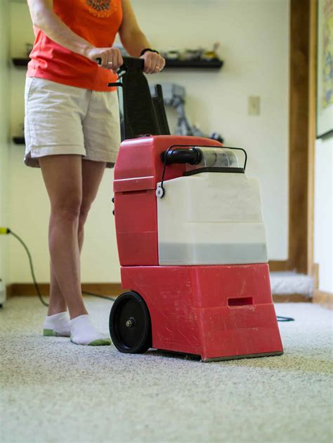 What You Need to Know About Renting a Carpet Cleaner - JDog Carpet ...