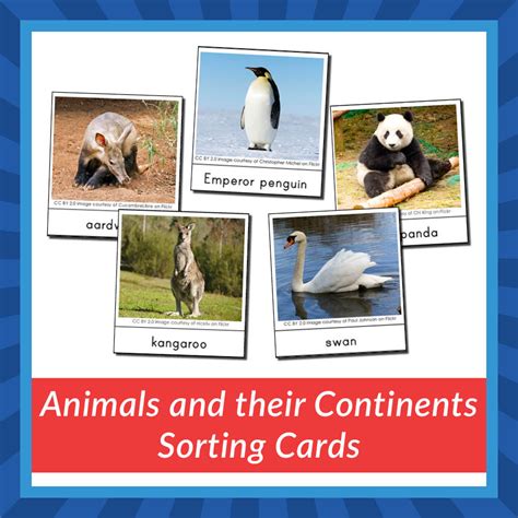 Animals and their Continents Sorting Cards - Gift of Curiosity