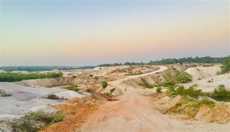 Exploring the natural side of Linden - Guyana Times