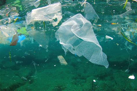 Over 200 countries agree to end ocean plastic litter - Earth.com