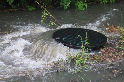 Alabama probes fish kill after sewage spilled near creek | Alabama ...