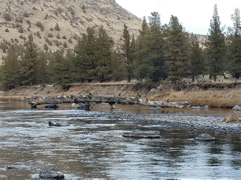 Lone Pine Campground | Bureau of Land Management