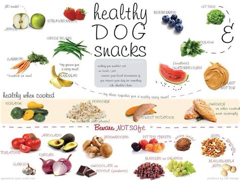 Road's End Papillons : Healthy Dog Snacks