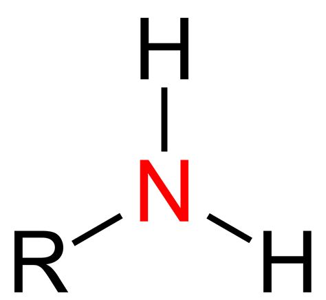 File:Prim. Amine Structural Formulae V.1.png