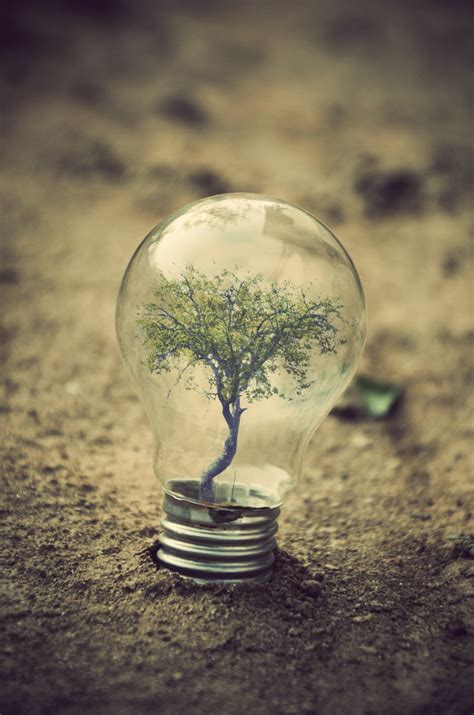 Surreal Artifacts of Life Encased in Magical Light Bulbs