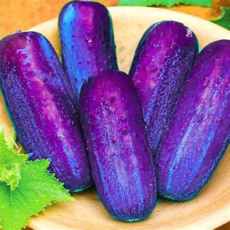 Vegetable Seeds Online Philippines - Garden Plant