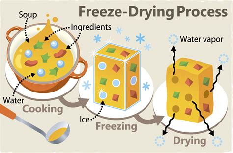 Freeze Drying Chart