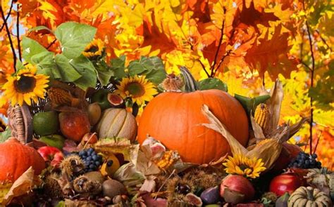 Fall time thanks for the harvest - online puzzle