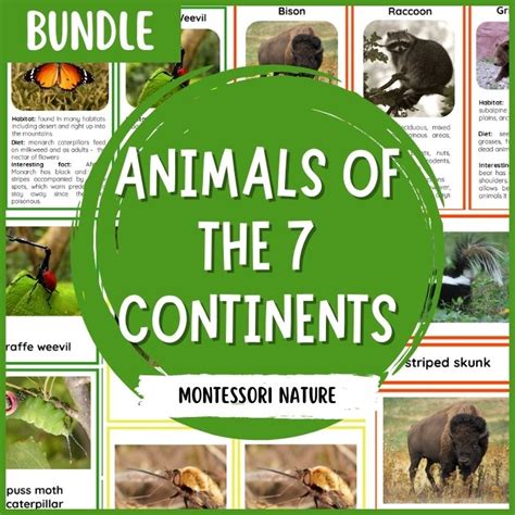 Animals of the Seven Continents Bundle 3 Part Cards Facts - Montessori ...