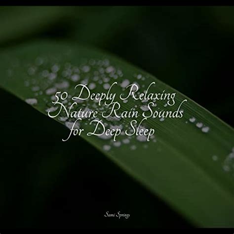 50 Deeply Relaxing Nature Rain Sounds for Deep Sleep by Sleep Songs ...