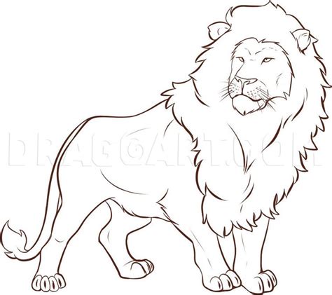 Lion Pencil Drawing Outline