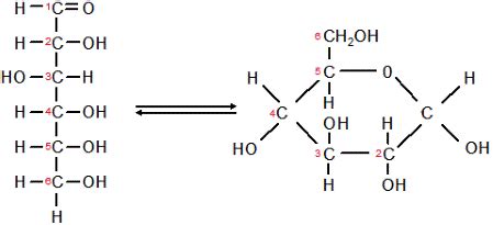 What is the molecular formula for glucose? How can its structural ...