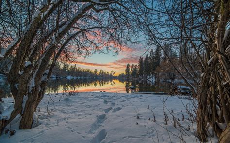 trees, Snow, Winter, Lake, Reflection, Sunset Wallpapers HD / Desktop ...