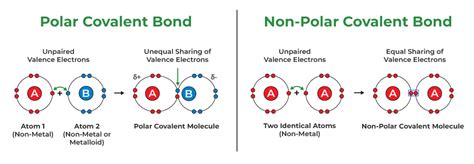 Covalent Bond - Definition, Examples, Types, Properties, & FAQs