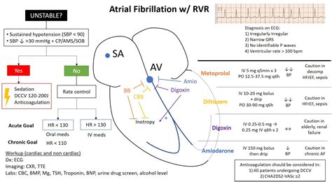 Afib With Rvr Treatment