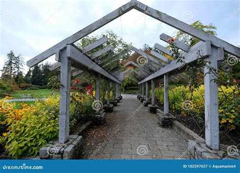 Rose Garden in Stanley Park. Stock Image - Image of foliage, city ...